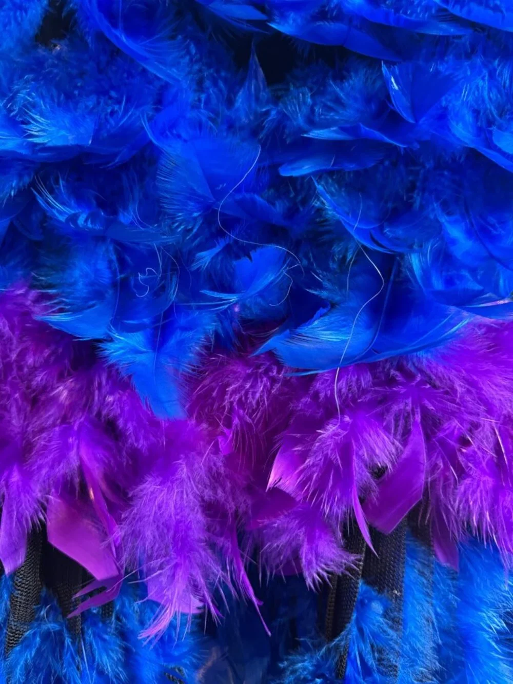 Feather Strappy Ballerina / Mardi Gras Dress Halloween Costume Blue & Purple M/L - Picture 5 of 8